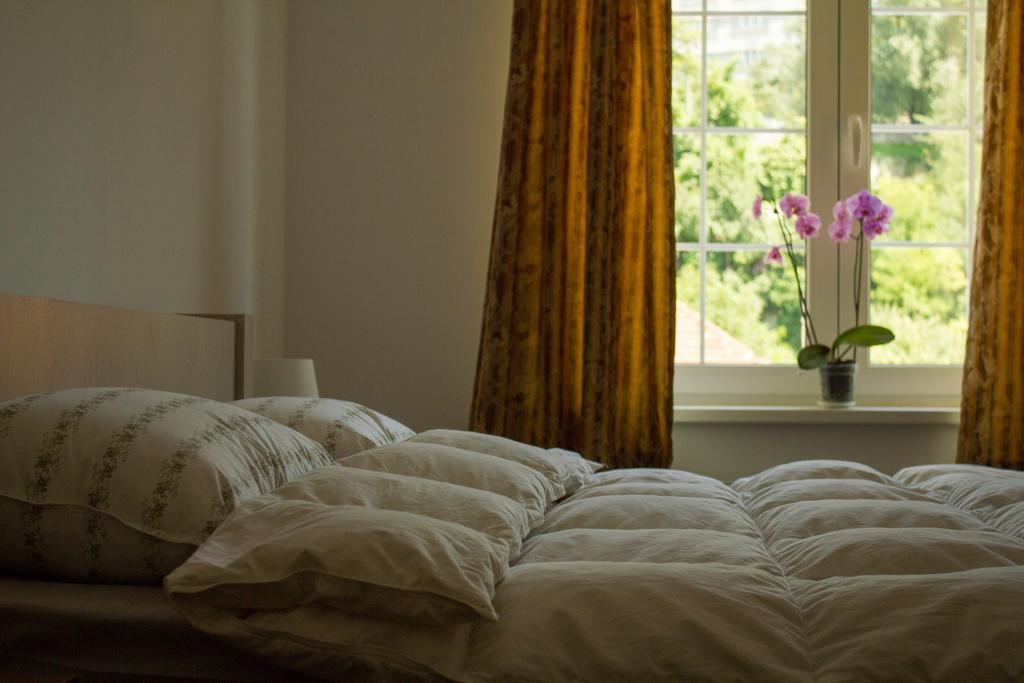 Avram Iancu Private Apartment With Ac Brasov Luaran gambar
