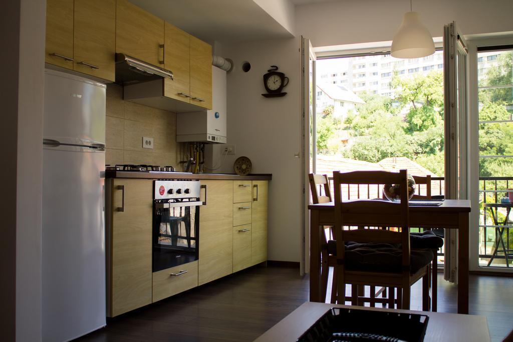 Avram Iancu Private Apartment With Ac Brasov Luaran gambar